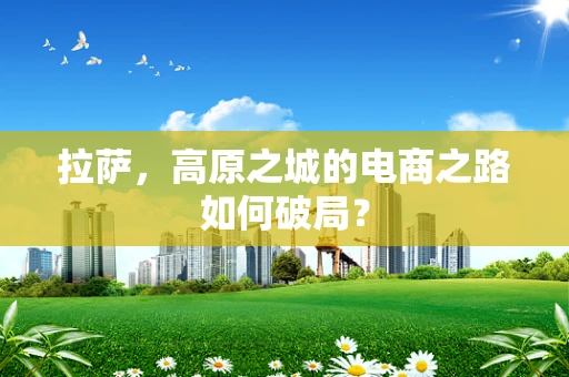 拉萨，高原之城的电商之路如何破局？