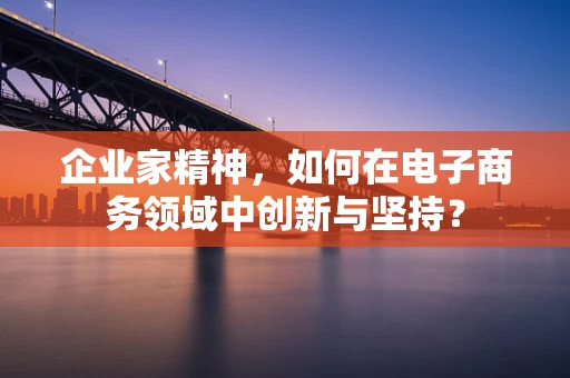 企业家精神，如何在电子商务领域中创新与坚持？