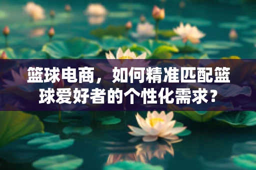 篮球电商，如何精准匹配篮球爱好者的个性化需求？