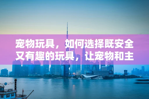 宠物玩具，如何选择既安全又有趣的玩具，让宠物和主人共享欢乐时光？