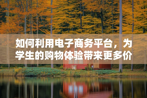 如何利用电子商务平台，为学生的购物体验带来更多价值？