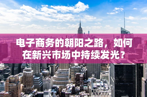 电子商务的朝阳之路，如何在新兴市场中持续发光？