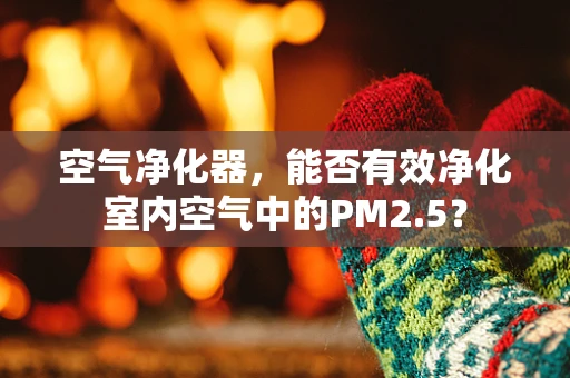 空气净化器，能否有效净化室内空气中的PM2.5？