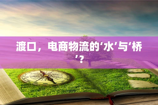 渡口，电商物流的‘水’与‘桥’？