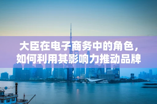 大臣在电子商务中的角色，如何利用其影响力推动品牌忠诚度？