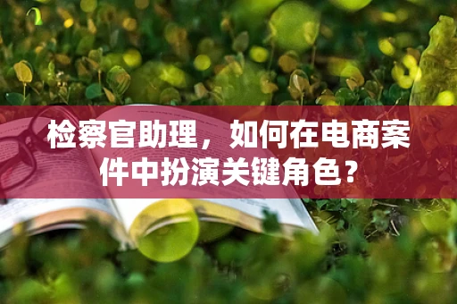 检察官助理，如何在电商案件中扮演关键角色？