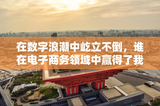在数字浪潮中屹立不倒，谁在电子商务领域中赢得了我们的敬佩？