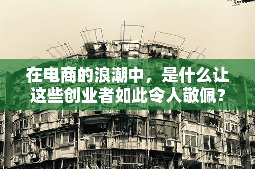 在电商的浪潮中，是什么让这些创业者如此令人敬佩？