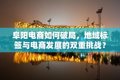 阜阳电商如何破局，地域标签与电商发展的双重挑战？