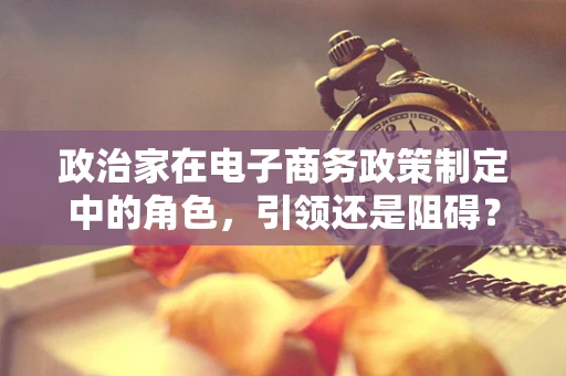政治家在电子商务政策制定中的角色，引领还是阻碍？