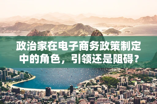 政治家在电子商务政策制定中的角色，引领还是阻碍？