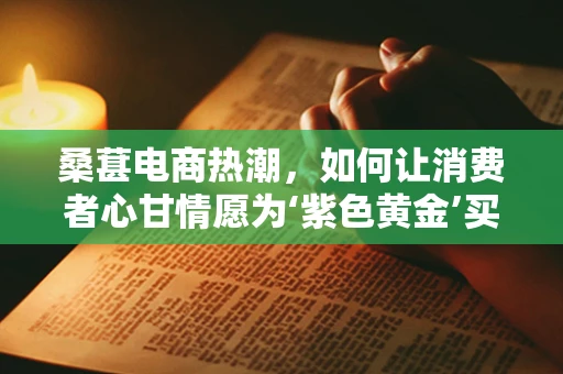 桑葚电商热潮，如何让消费者心甘情愿为‘紫色黄金’买单？