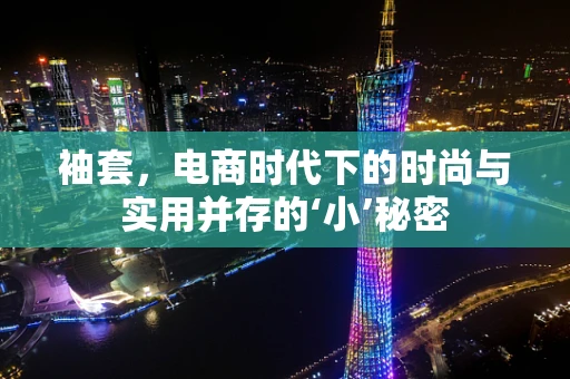 袖套，电商时代下的时尚与实用并存的‘小’秘密