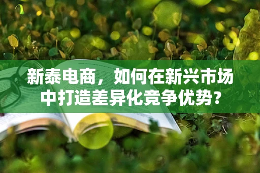 新泰电商，如何在新兴市场中打造差异化竞争优势？