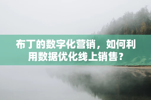 布丁的数字化营销，如何利用数据优化线上销售？