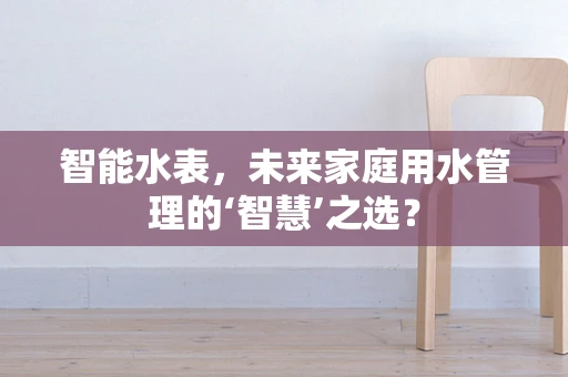 智能水表，未来家庭用水管理的‘智慧’之选？