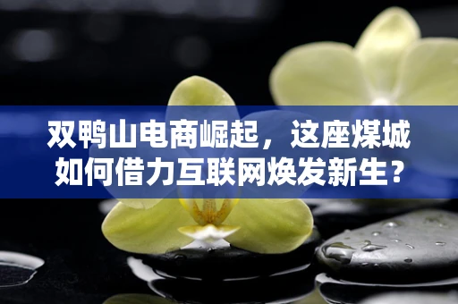双鸭山电商崛起，这座煤城如何借力互联网焕发新生？