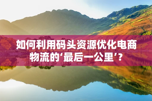 如何利用码头资源优化电商物流的‘最后一公里’？