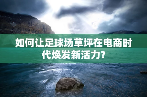 如何让足球场草坪在电商时代焕发新活力？
