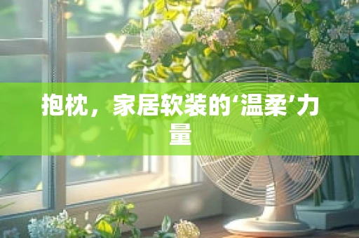 抱枕，家居软装的‘温柔’力量