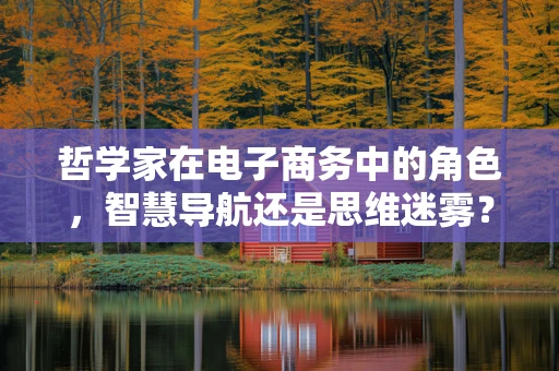 哲学家在电子商务中的角色，智慧导航还是思维迷雾？