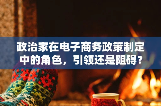 政治家在电子商务政策制定中的角色，引领还是阻碍？