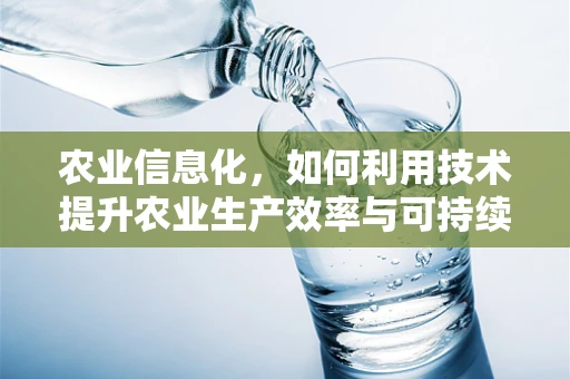 农业信息化，如何利用技术提升农业生产效率与可持续性？