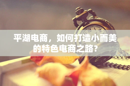 平湖电商，如何打造小而美的特色电商之路？