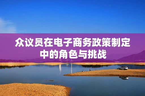 众议员在电子商务政策制定中的角色与挑战