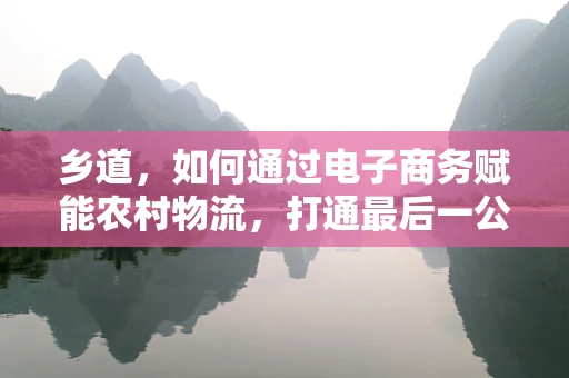 乡道，如何通过电子商务赋能农村物流，打通最后一公里的挑战？