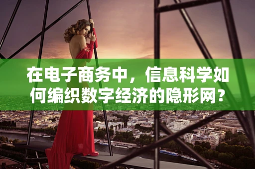 在电子商务中，信息科学如何编织数字经济的隐形网？
