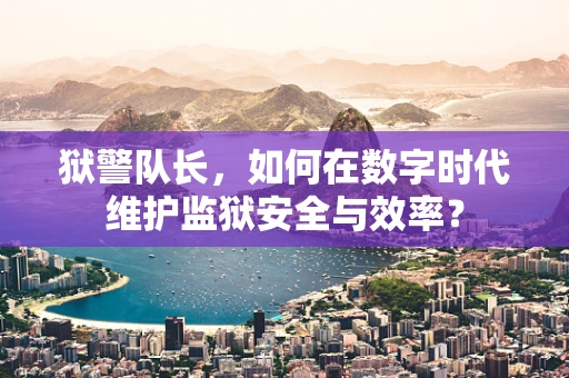 狱警队长，如何在数字时代维护监狱安全与效率？