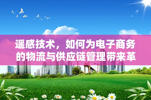 遥感技术，如何为电子商务的物流与供应链管理带来革新？