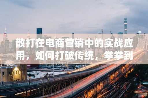 散打在电商营销中的实战应用，如何打破传统，拳拳到肉吸引消费者？