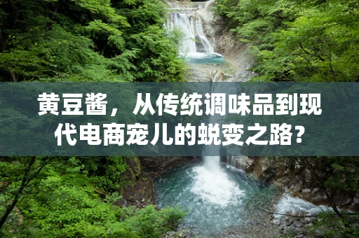 黄豆酱，从传统调味品到现代电商宠儿的蜕变之路？