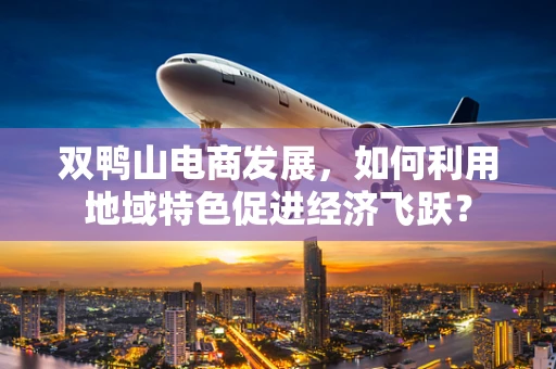 双鸭山电商发展，如何利用地域特色促进经济飞跃？
