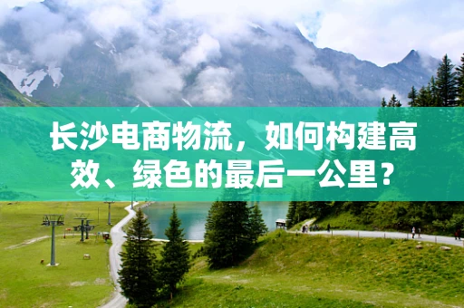 长沙电商物流，如何构建高效、绿色的最后一公里？