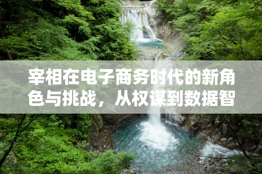 宰相在电子商务时代的新角色与挑战，从权谋到数据智囊的转变