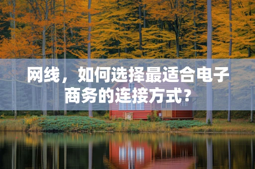 网线，如何选择最适合电子商务的连接方式？