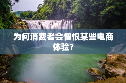 为何消费者会憎恨某些电商体验？