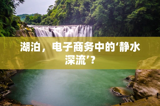 湖泊，电子商务中的‘静水深流’？