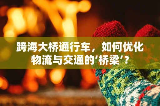 跨海大桥通行车，如何优化物流与交通的‘桥梁’？