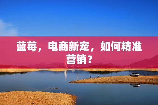 蓝莓，电商新宠，如何精准营销？