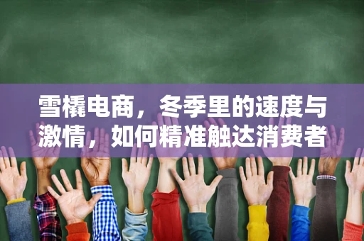 雪橇电商，冬季里的速度与激情，如何精准触达消费者？