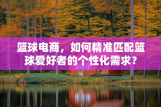 篮球电商，如何精准匹配篮球爱好者的个性化需求？