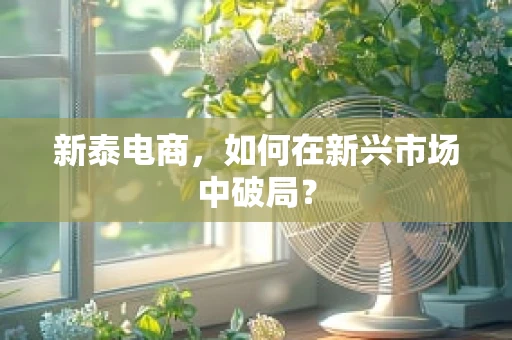 新泰电商，如何在新兴市场中破局？