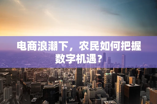 电商浪潮下，农民如何把握数字机遇？