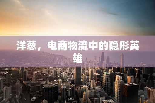 洋葱，电商物流中的隐形英雄