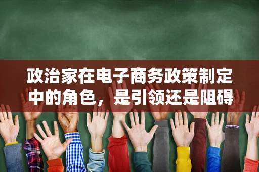 政治家在电子商务政策制定中的角色，是引领还是阻碍？