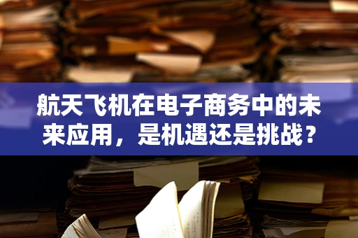 航天飞机在电子商务中的未来应用，是机遇还是挑战？
